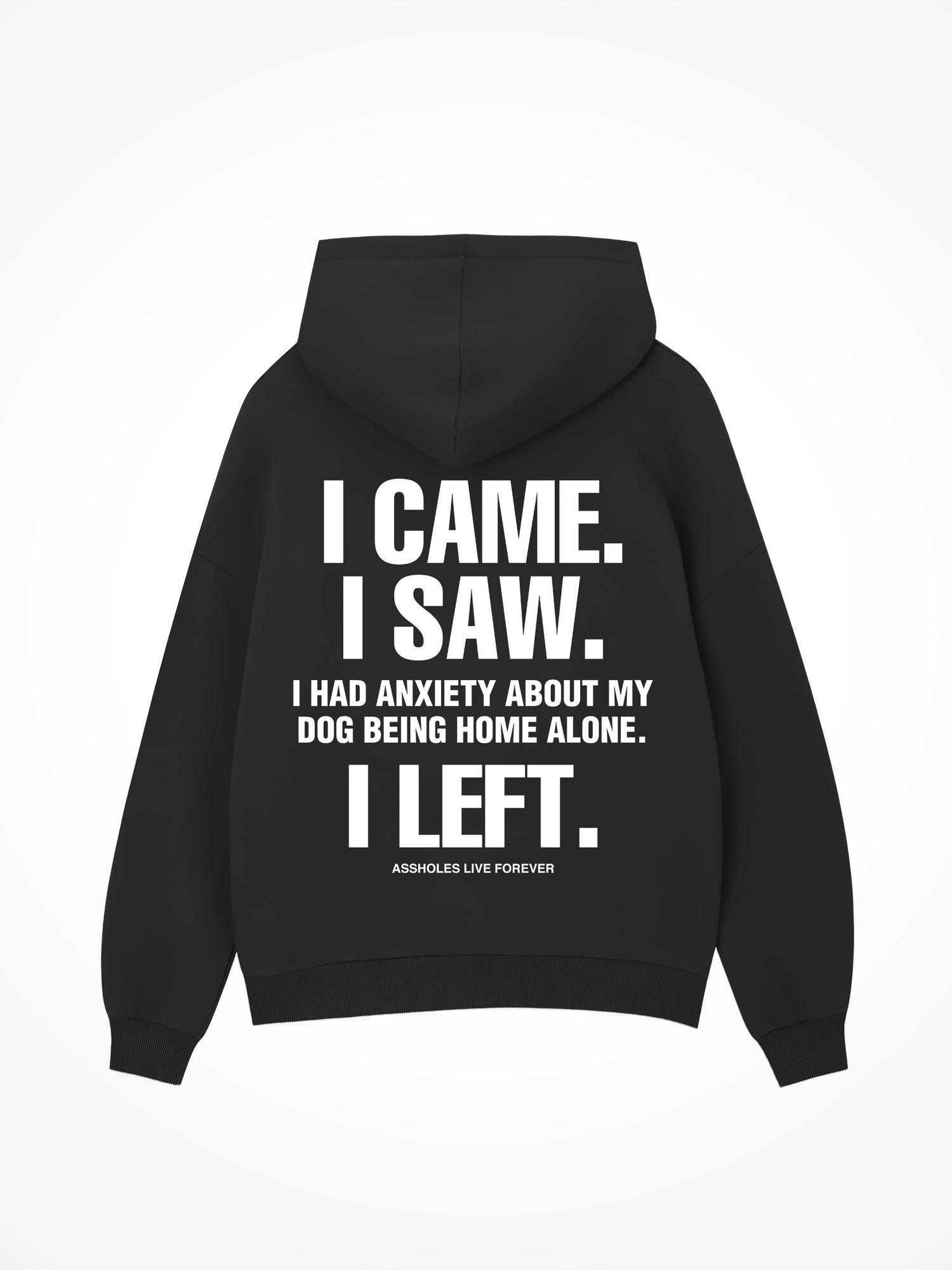I Came I Saw - Black Hoodie