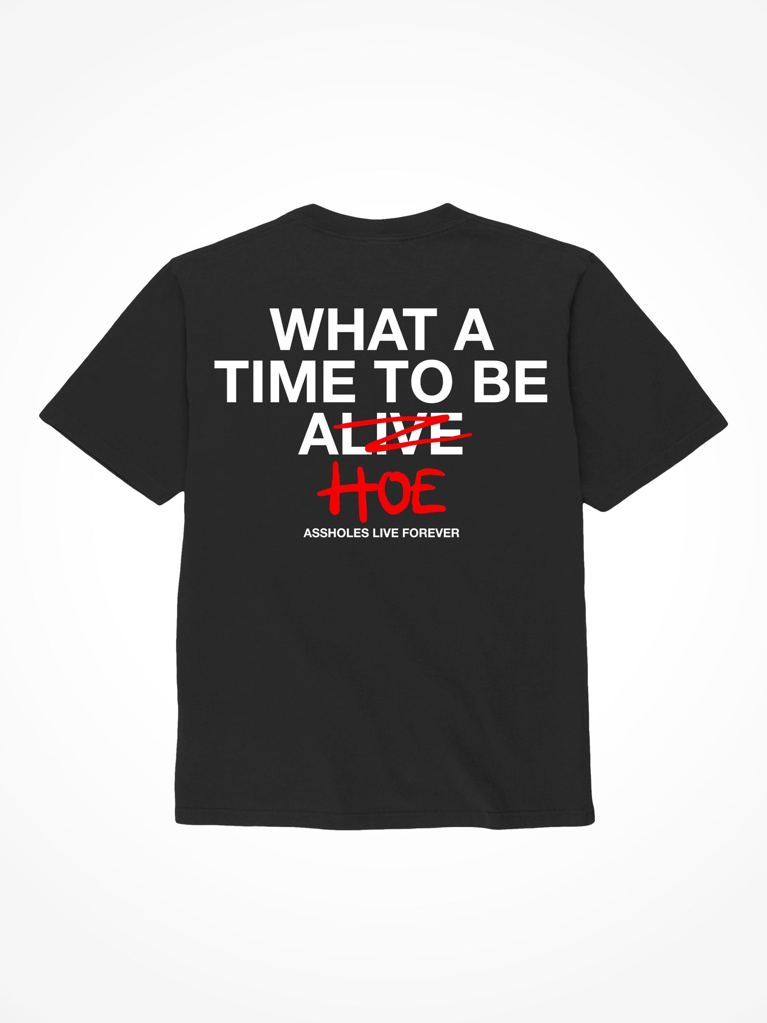 What a Time to be a Hoe - Black T-Shirt