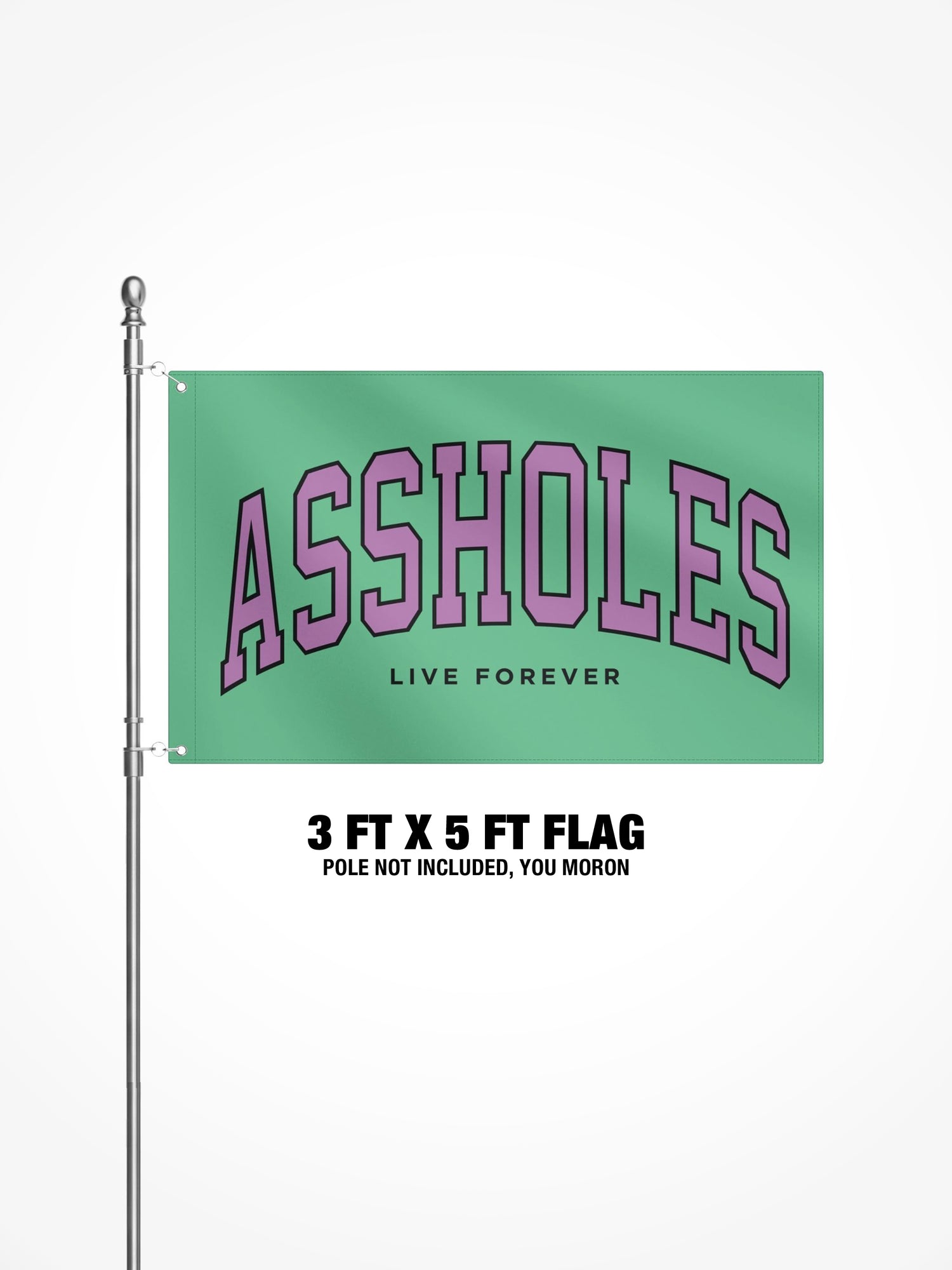 3x5 Ft Flag - ALF College Teal/Purple