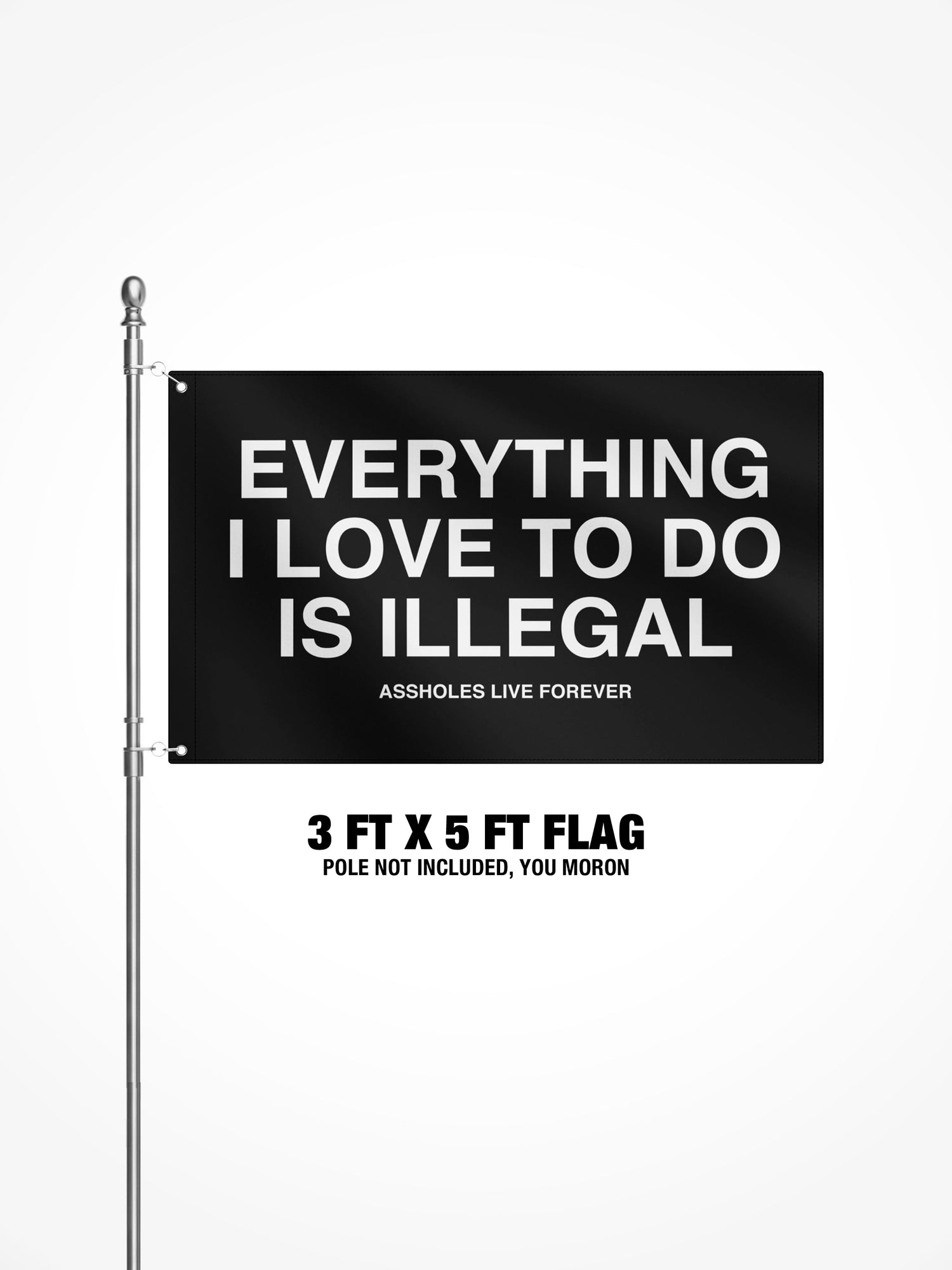 3x5 Ft Flag - Everything I Love To Do Is Illegal