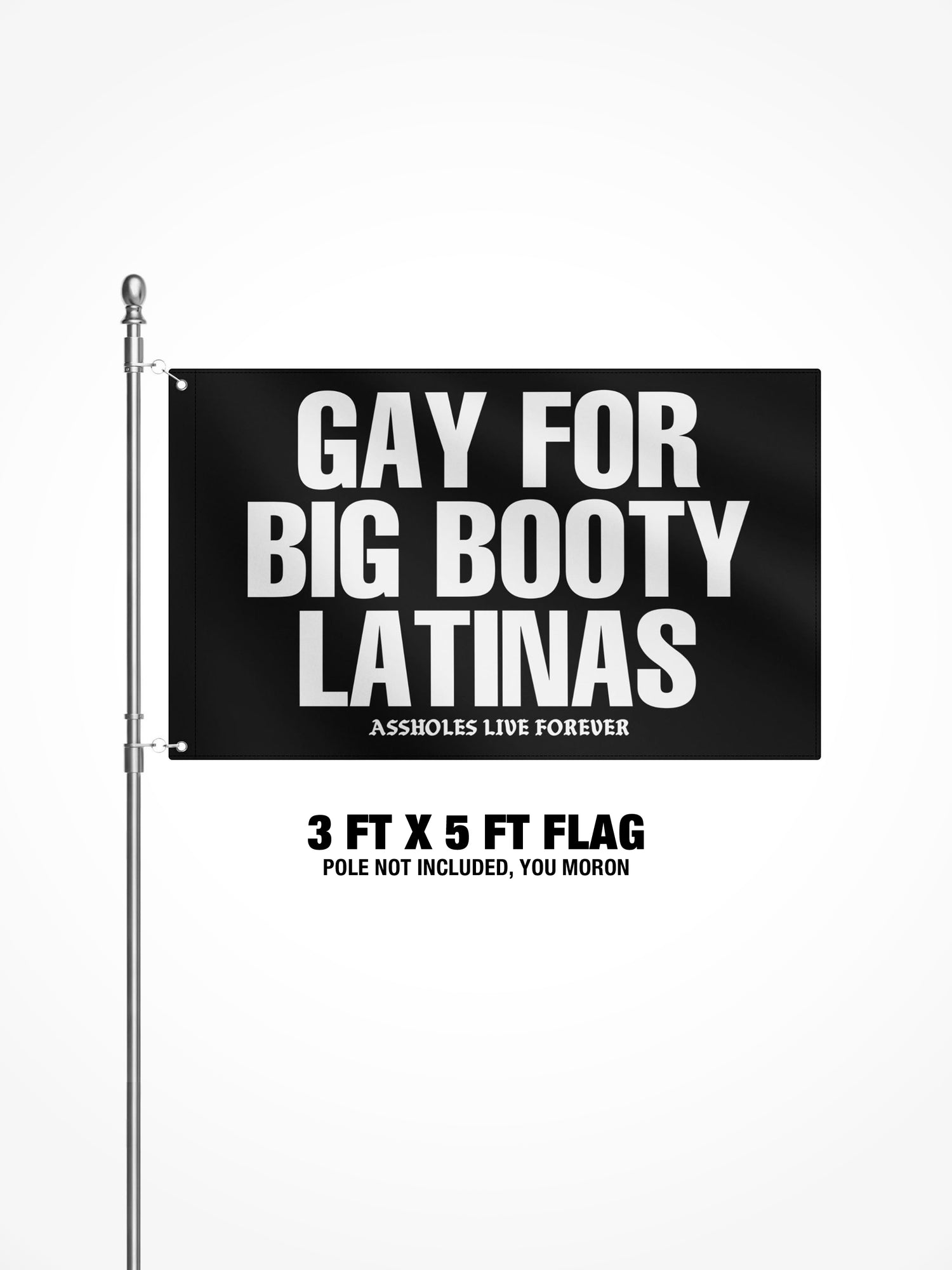3x5 Ft Flag - Gay For Big Booty Latinas - Black