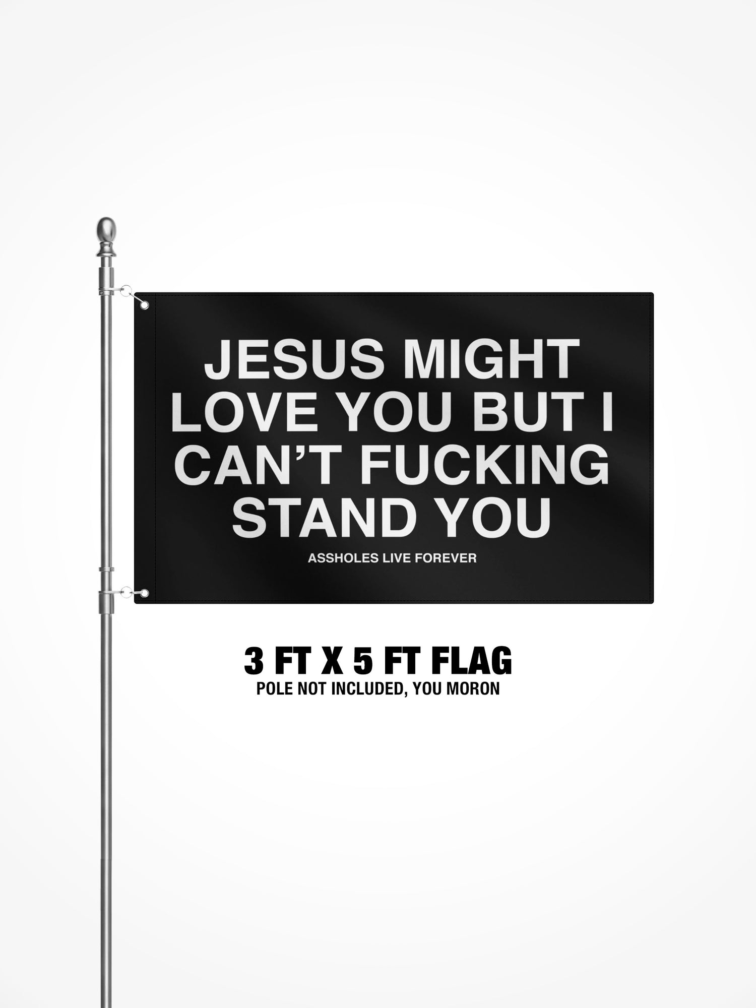 3x5 Ft Flag - Jesus Might Love You