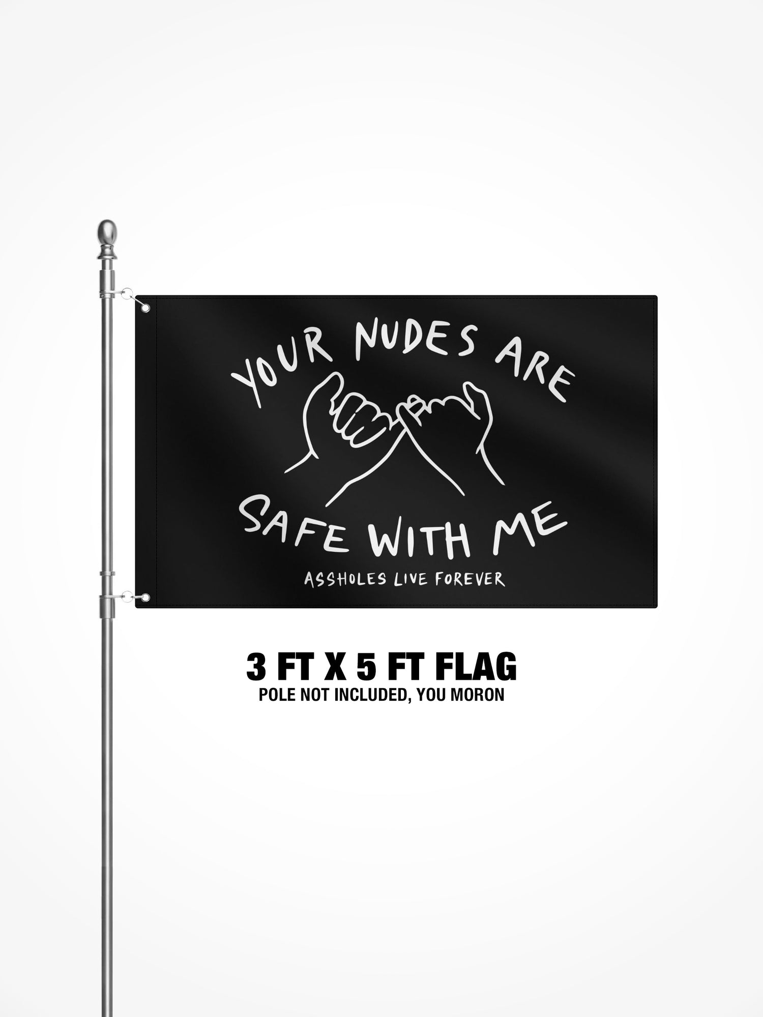 3x5 Ft Flag  - NUDES SAFE