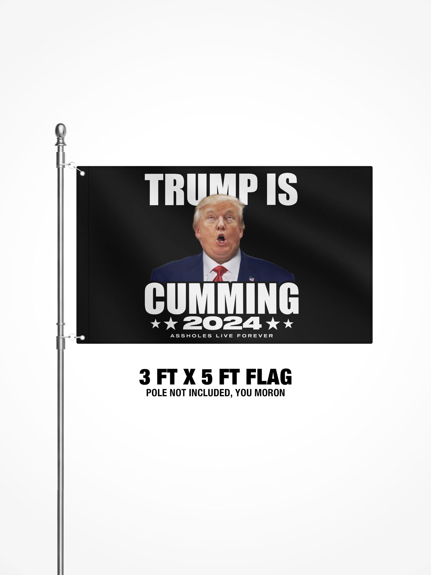 3x5 Ft Flag - Trump Is Cumming - Black
