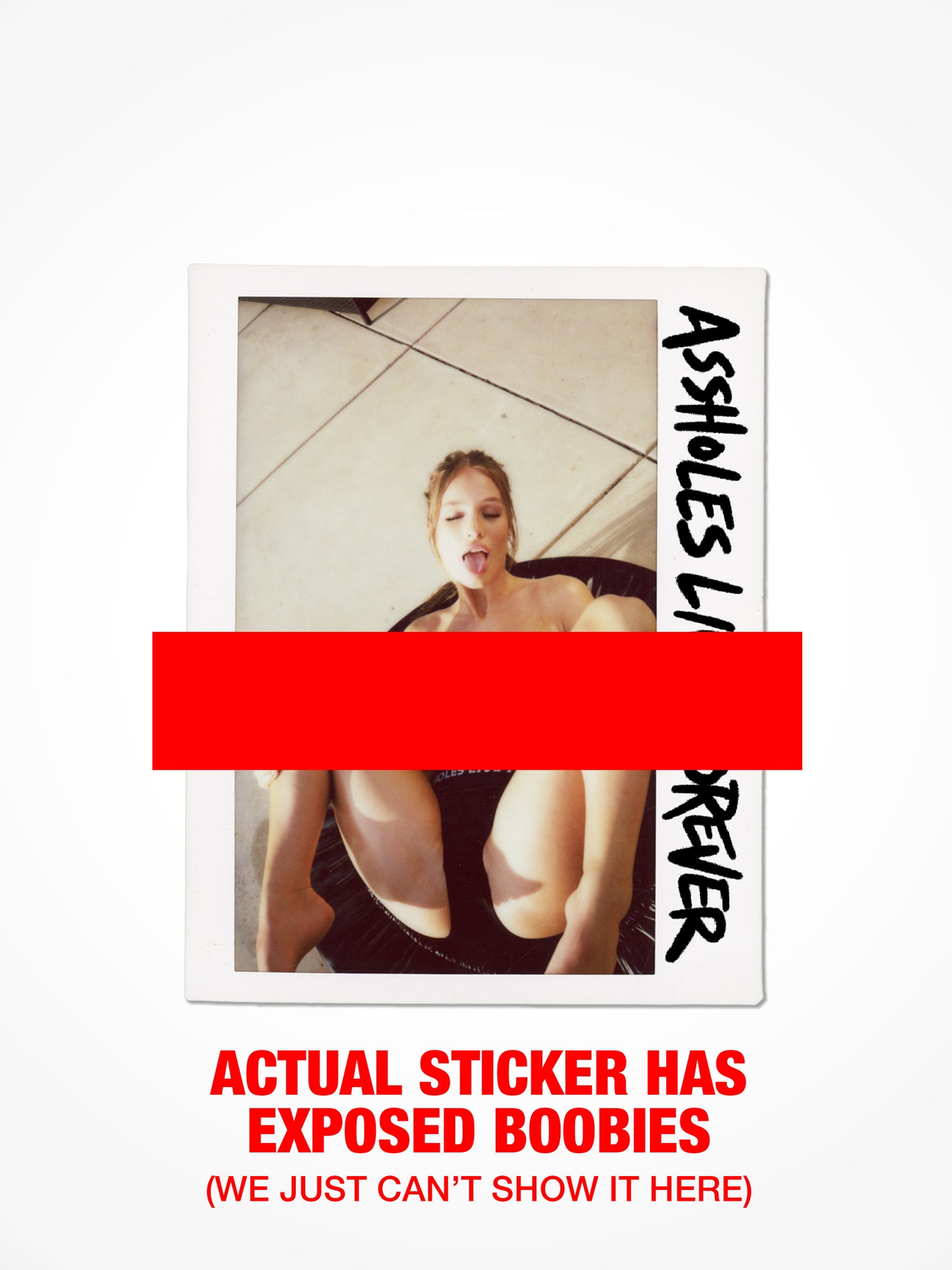 Sky Bri - Polaroid Sticker