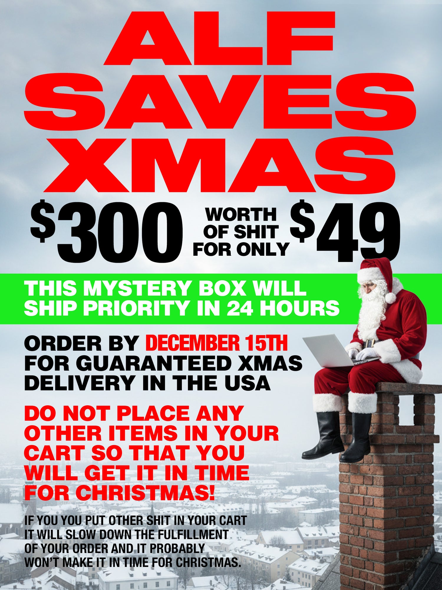 ALF SAVES XMAS - Mystery Box