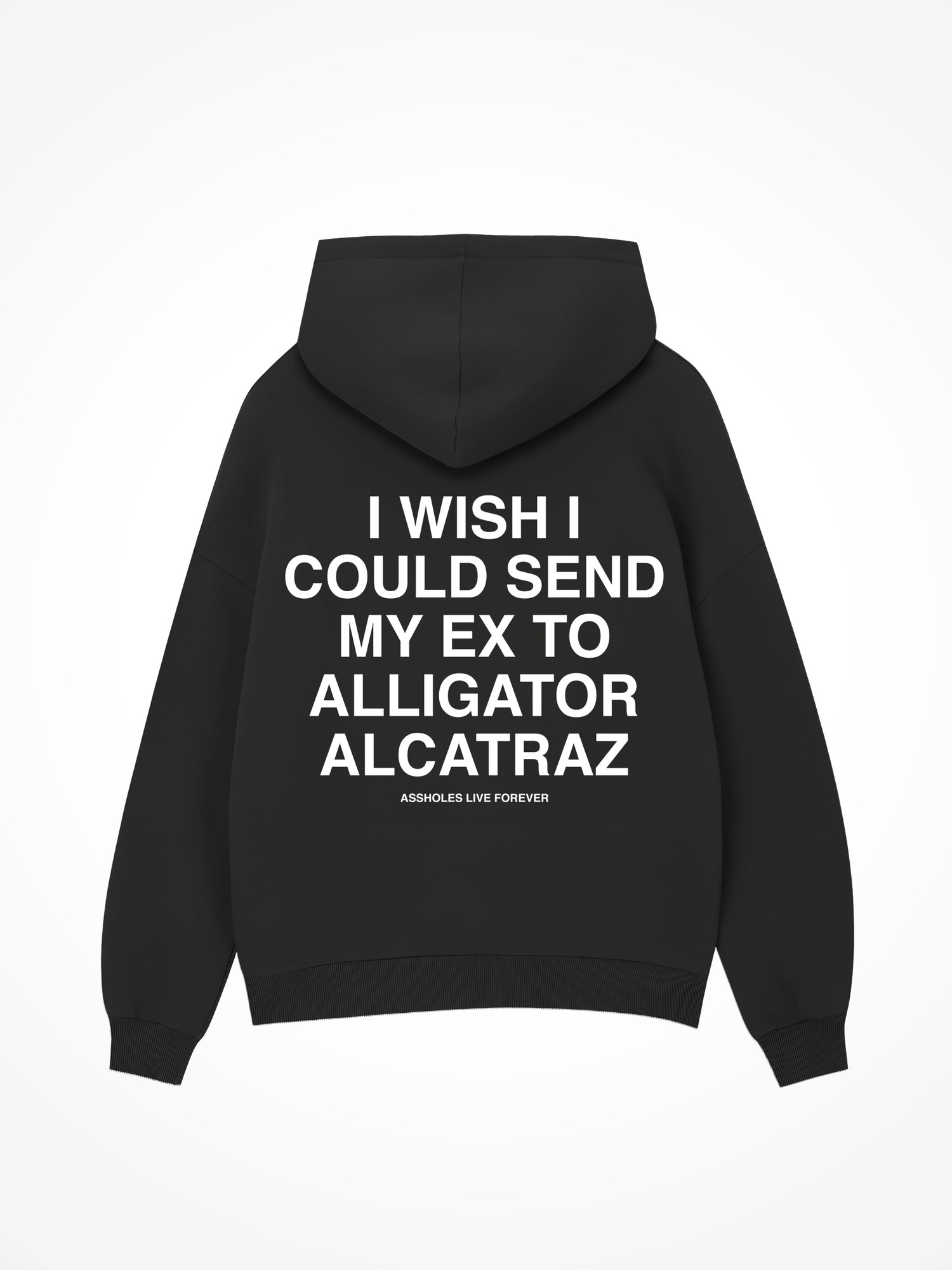 Alligator Alcatraz - Black Hoodie